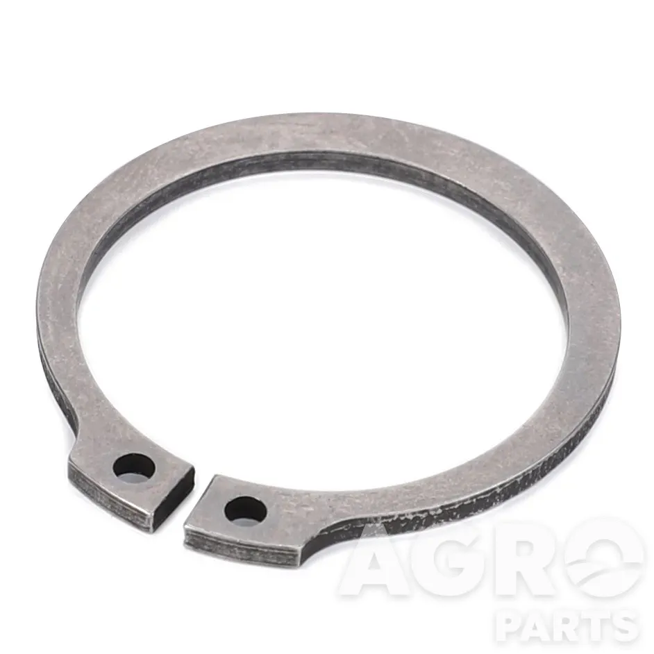 199100080270, Стопорное кольцо, AGCO