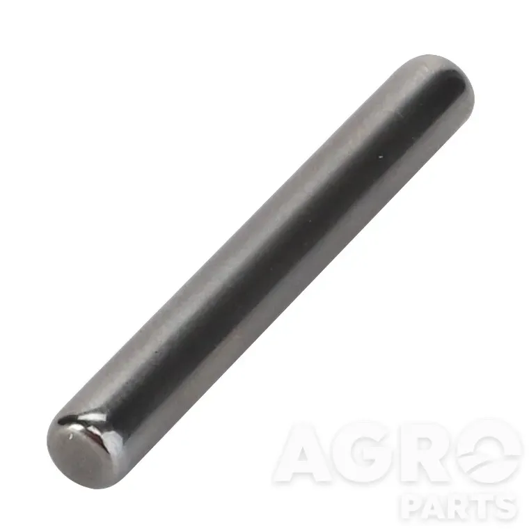 2314C03901, Игольчатый ролик, AGCO