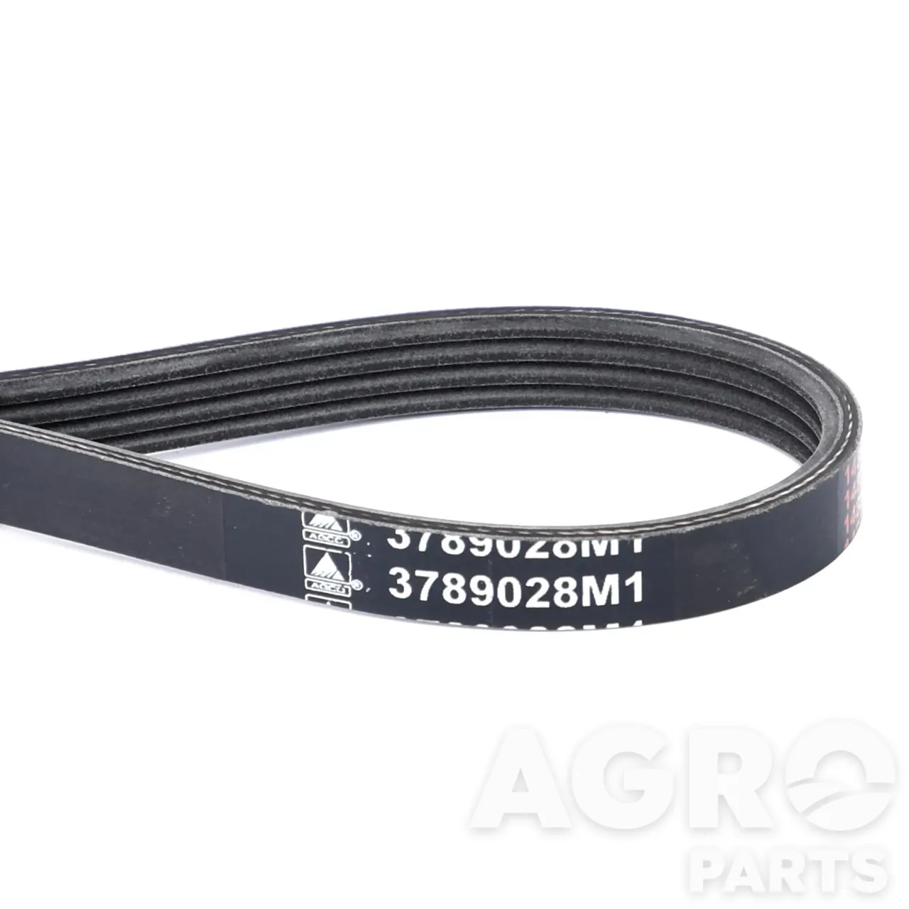 3789028M1, Ремень, AGCO