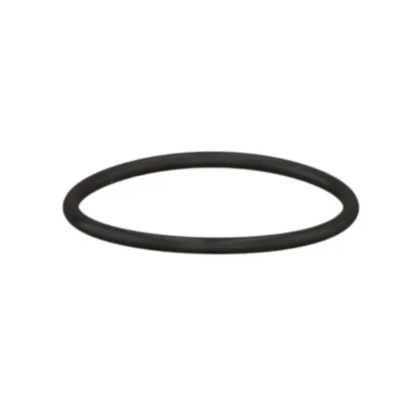 0002138580, Кольцо уплотнит. , Claas
