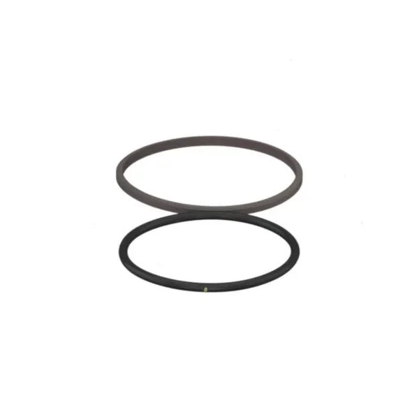 0002169780, Уплотнение поршня , Claas