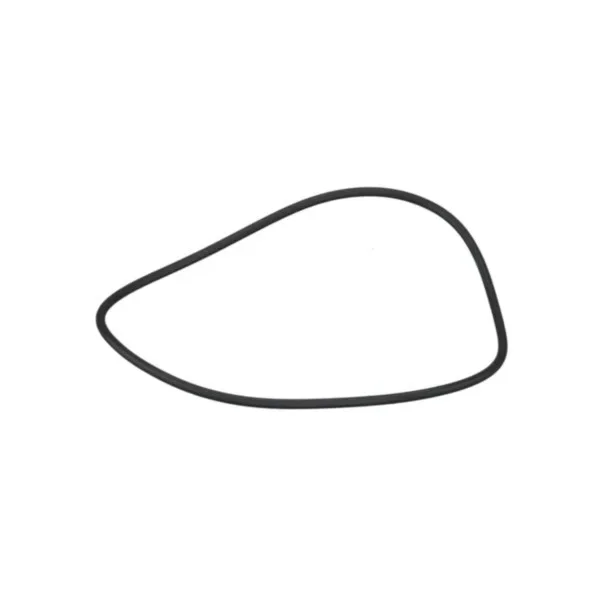 0002189610, Кольцо уплотнит. , Claas