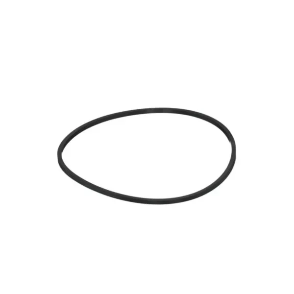 0002195370, Кольцо уплотнительное , Claas
